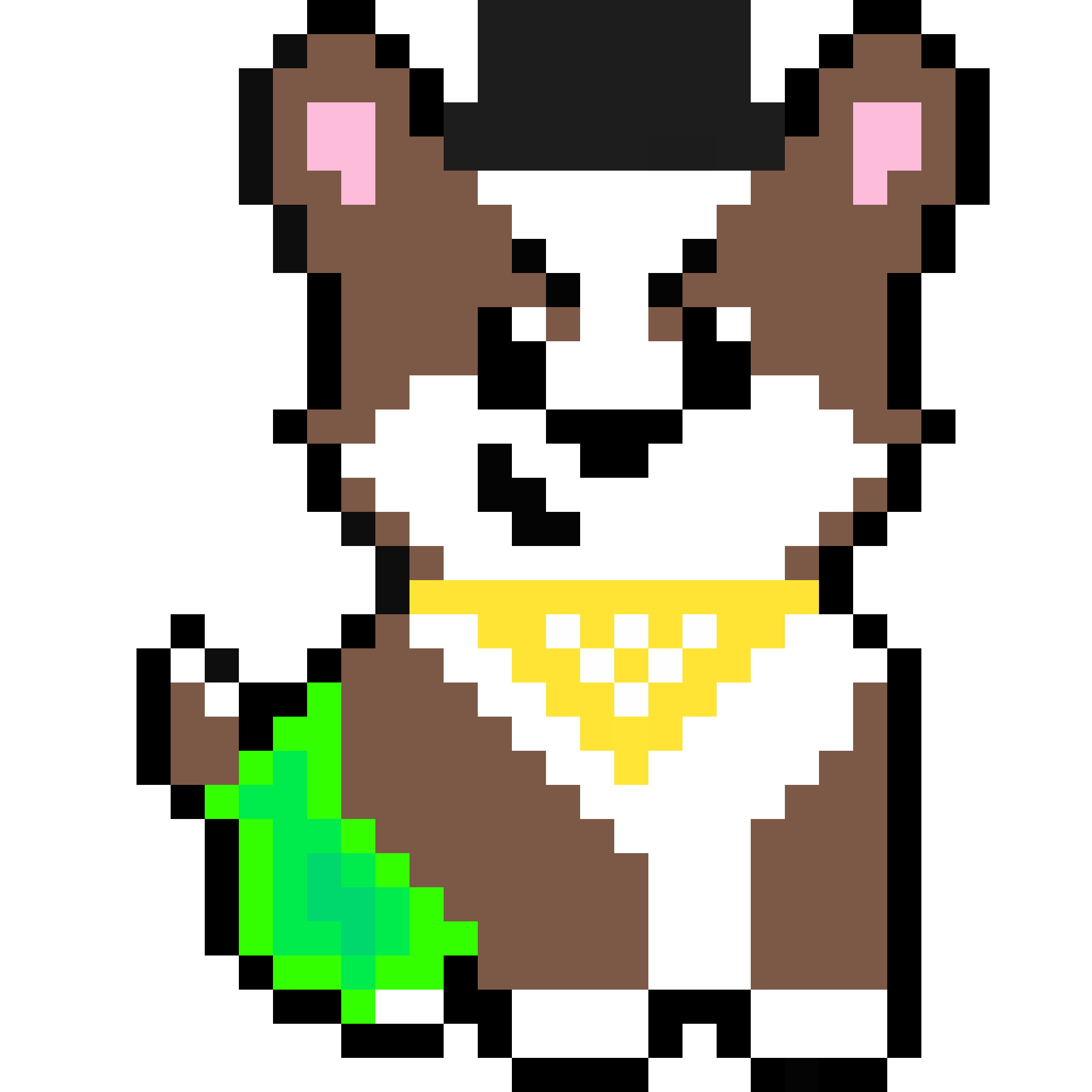 Corgi #234