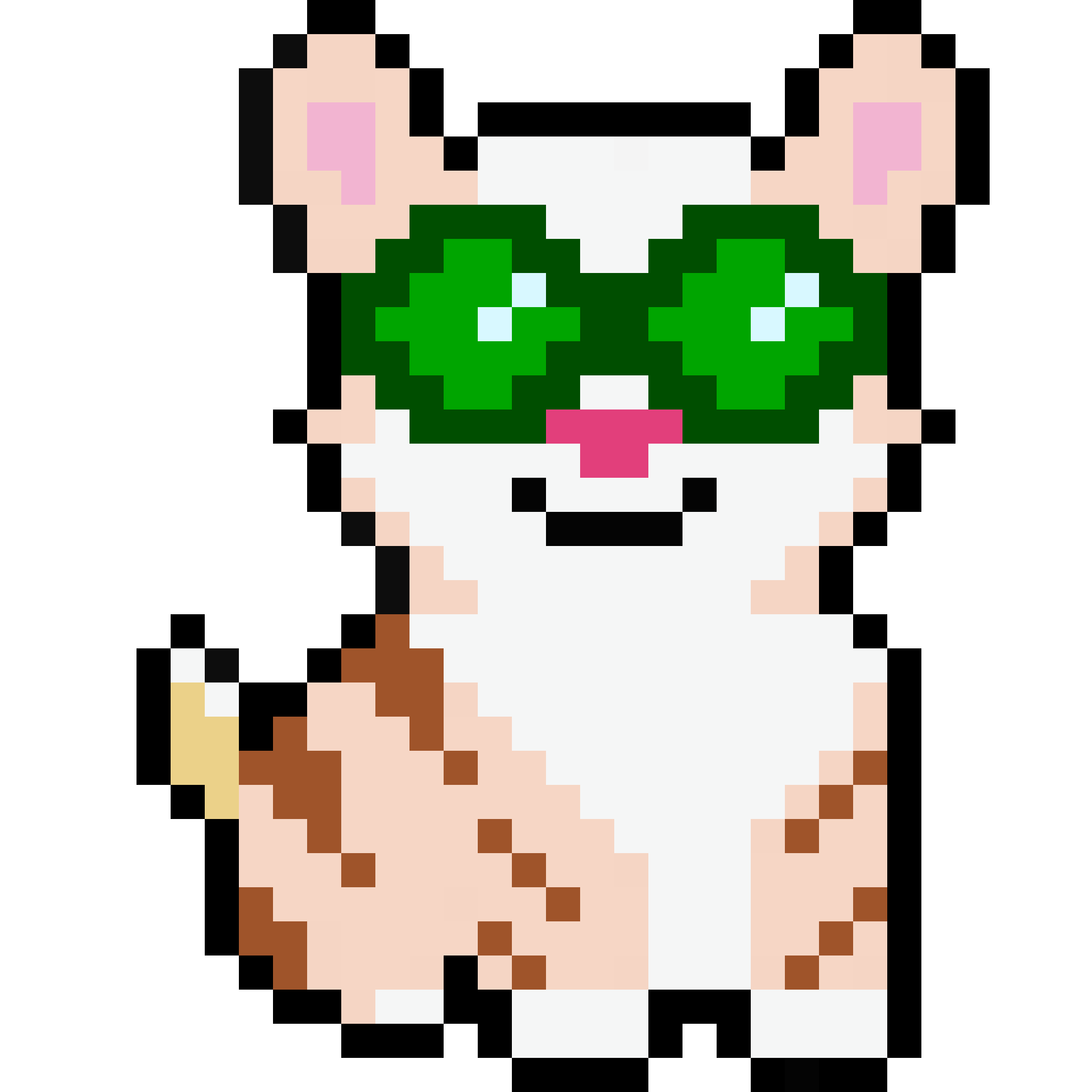 Corgi #6558