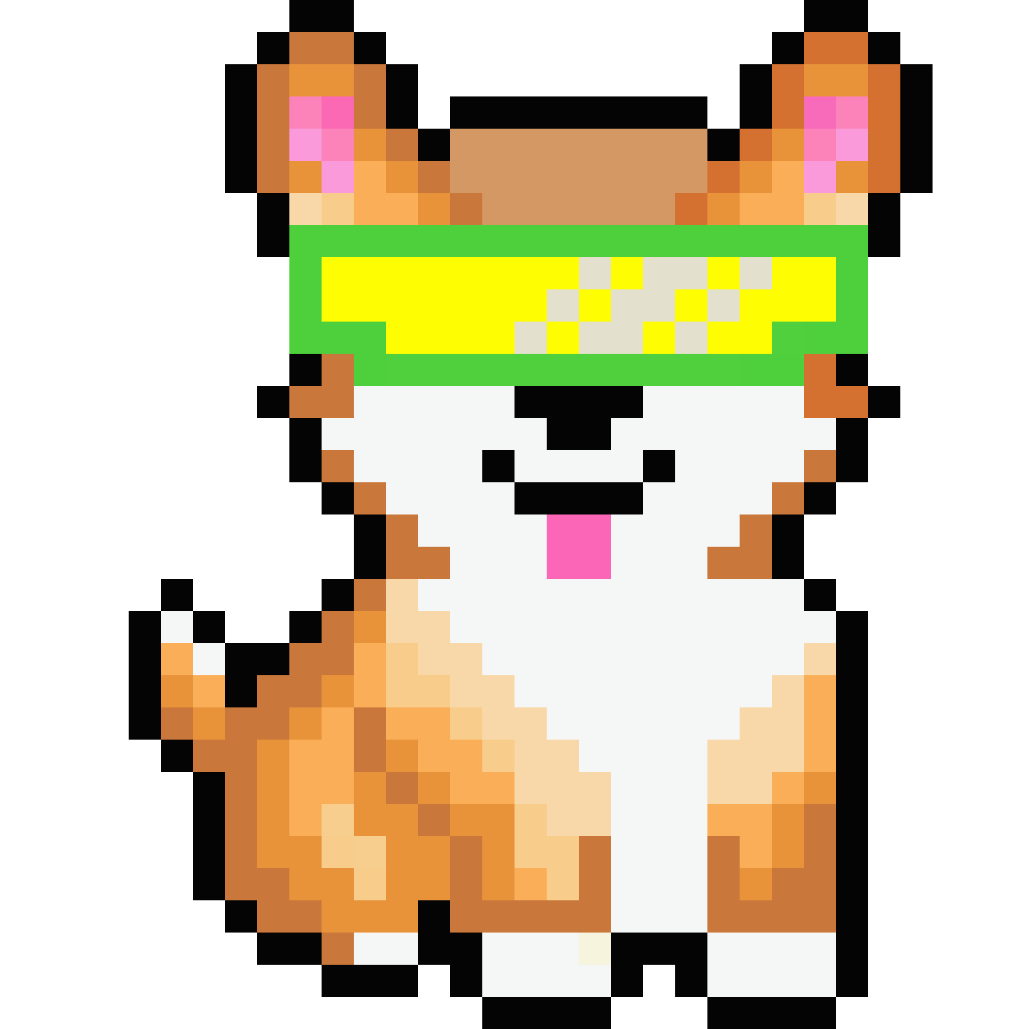 Corgi from Block #302535796