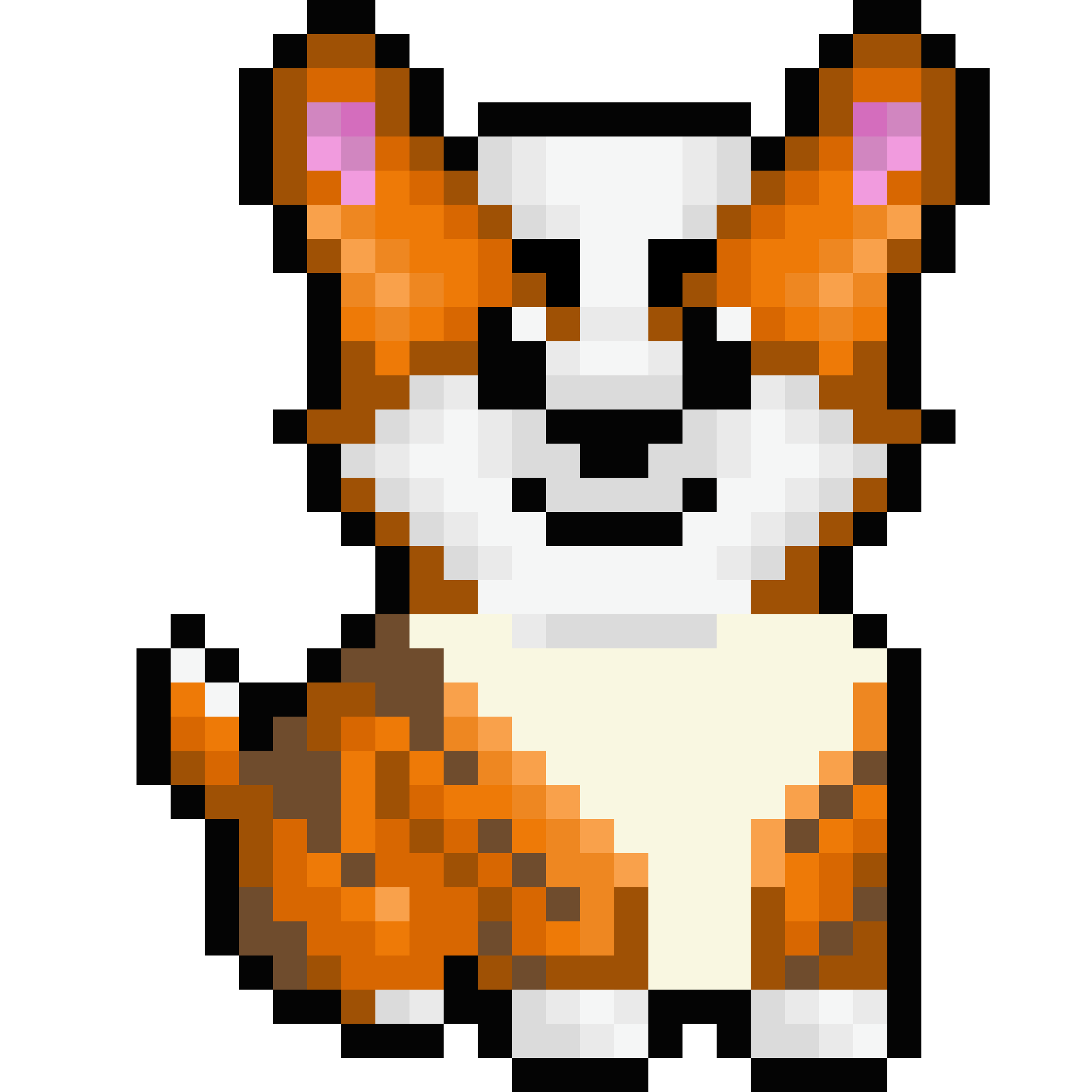 Corgi from Block #302540840