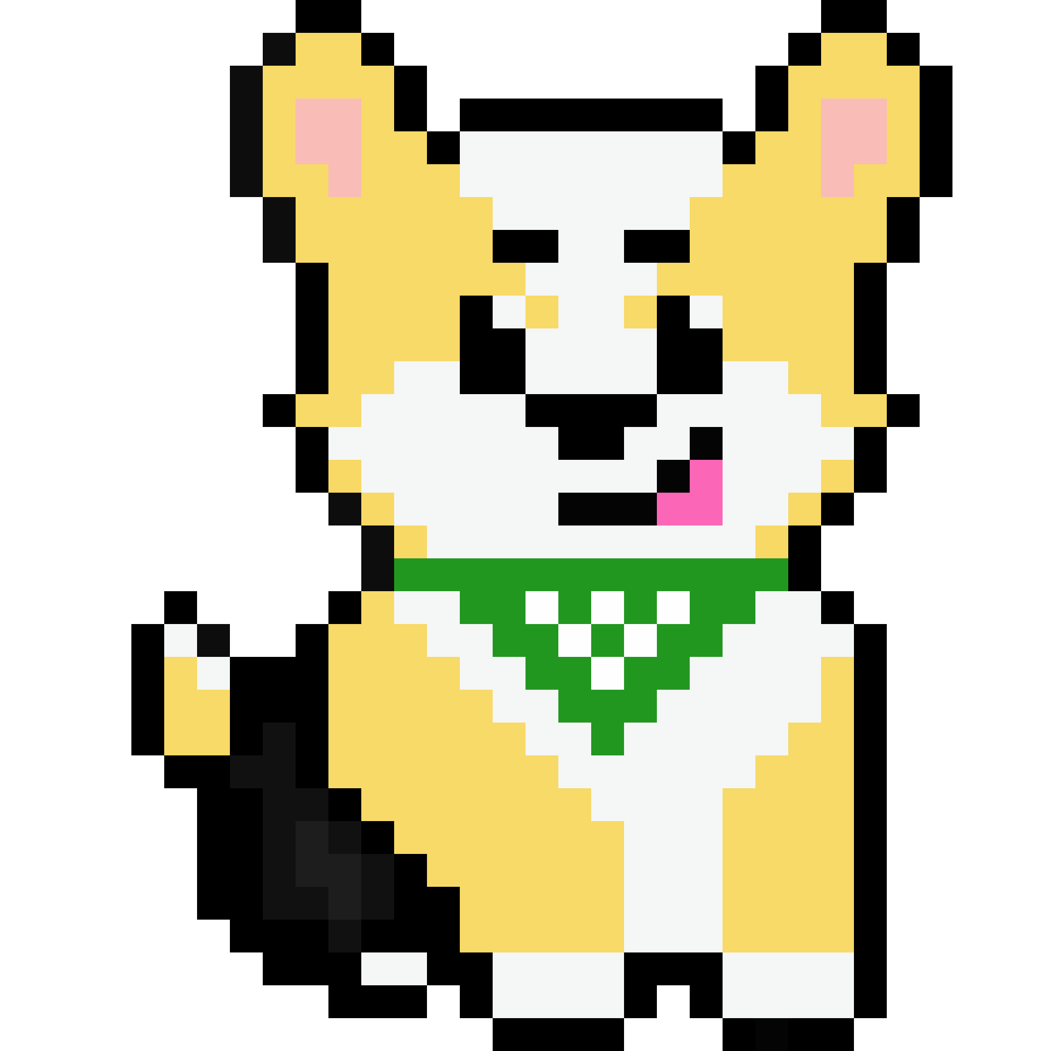 Corgi from Block #302540900