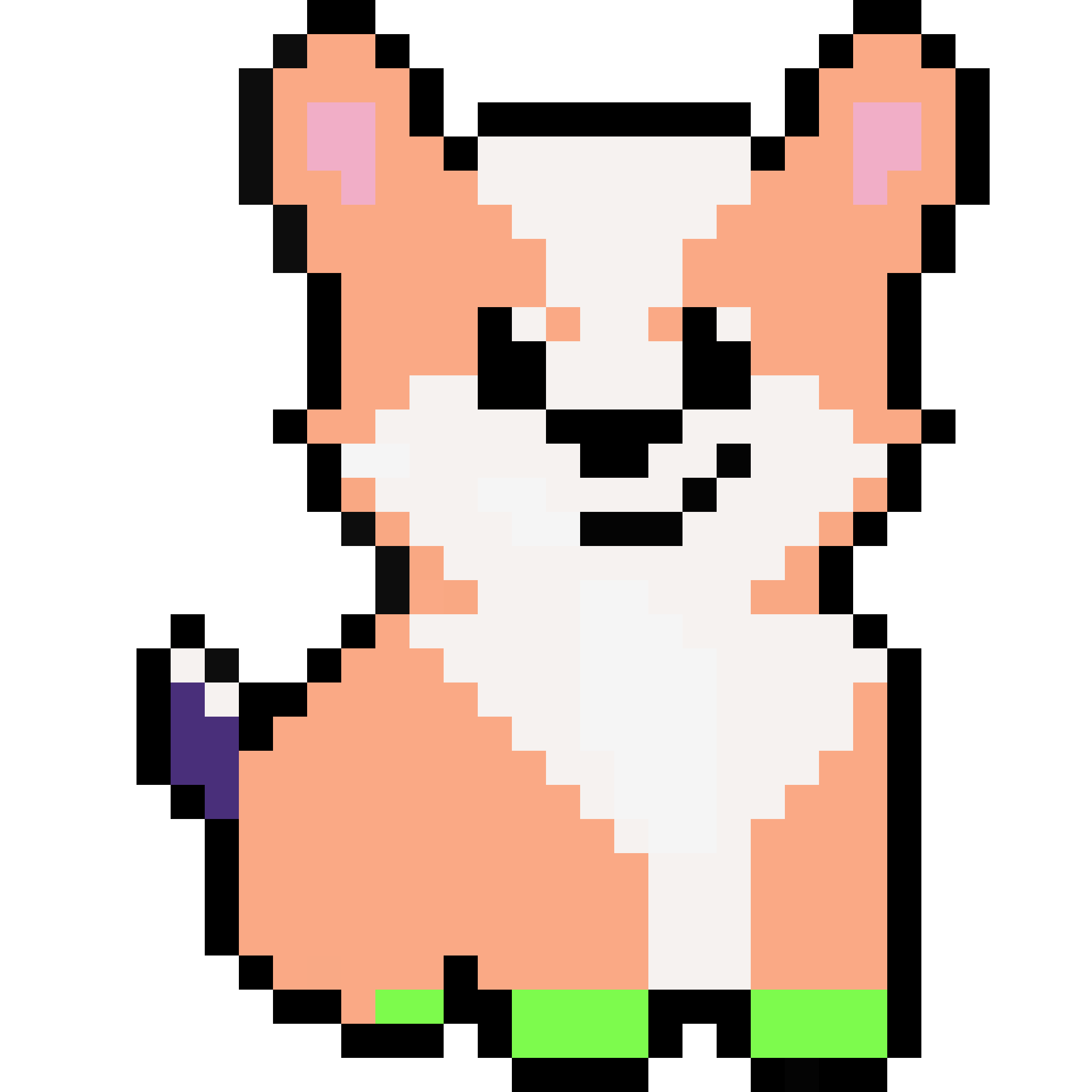 Corgi from Block #302586197