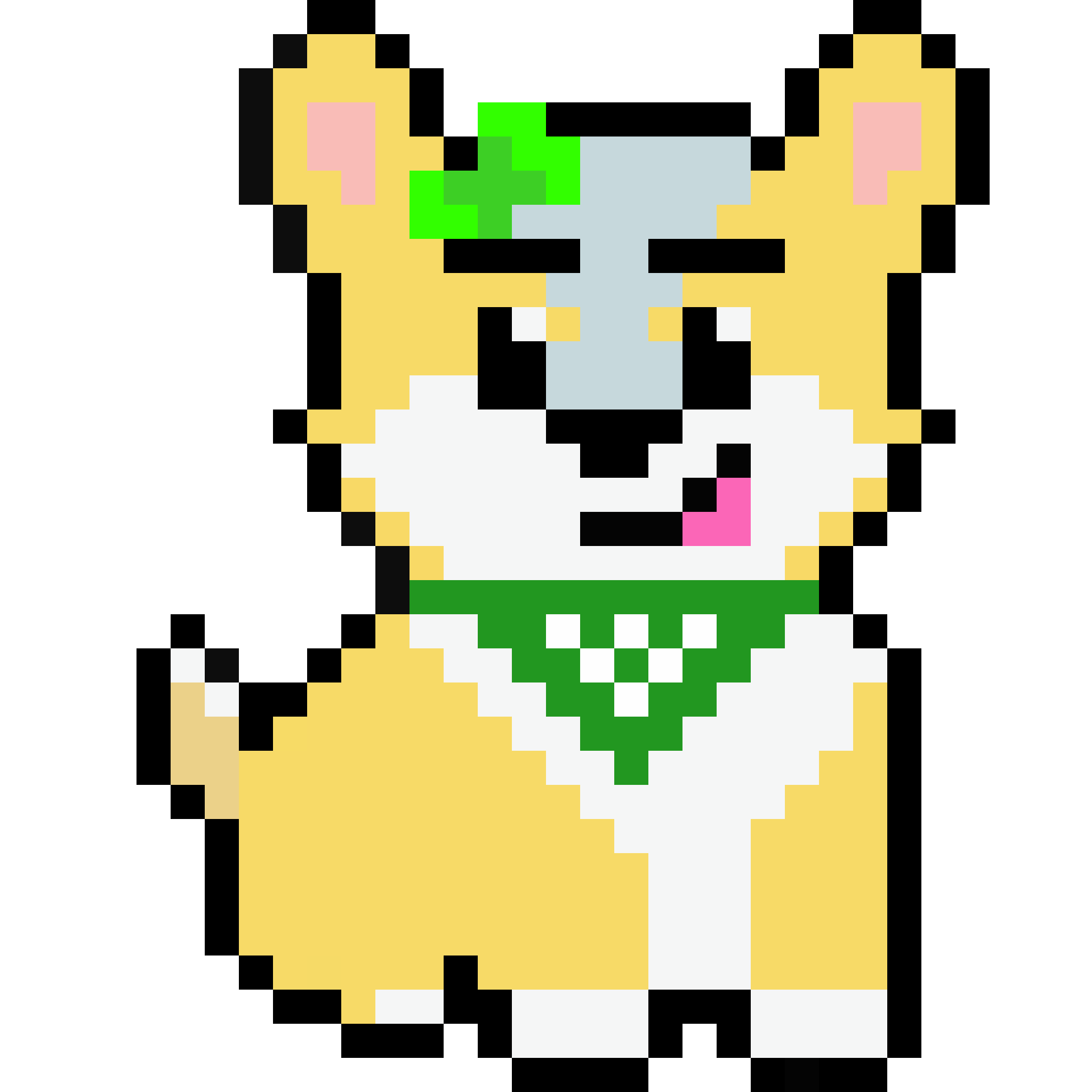 Corgi from Block #311966037