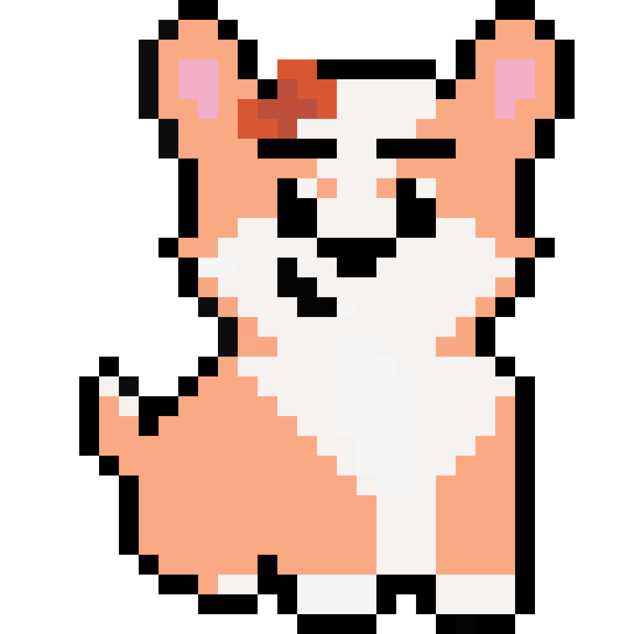 Corgi from Block #312042832