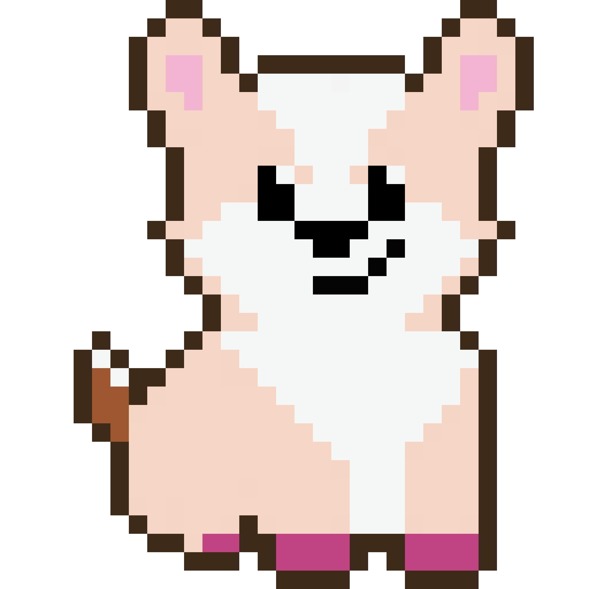 Corgi from Block #318838370