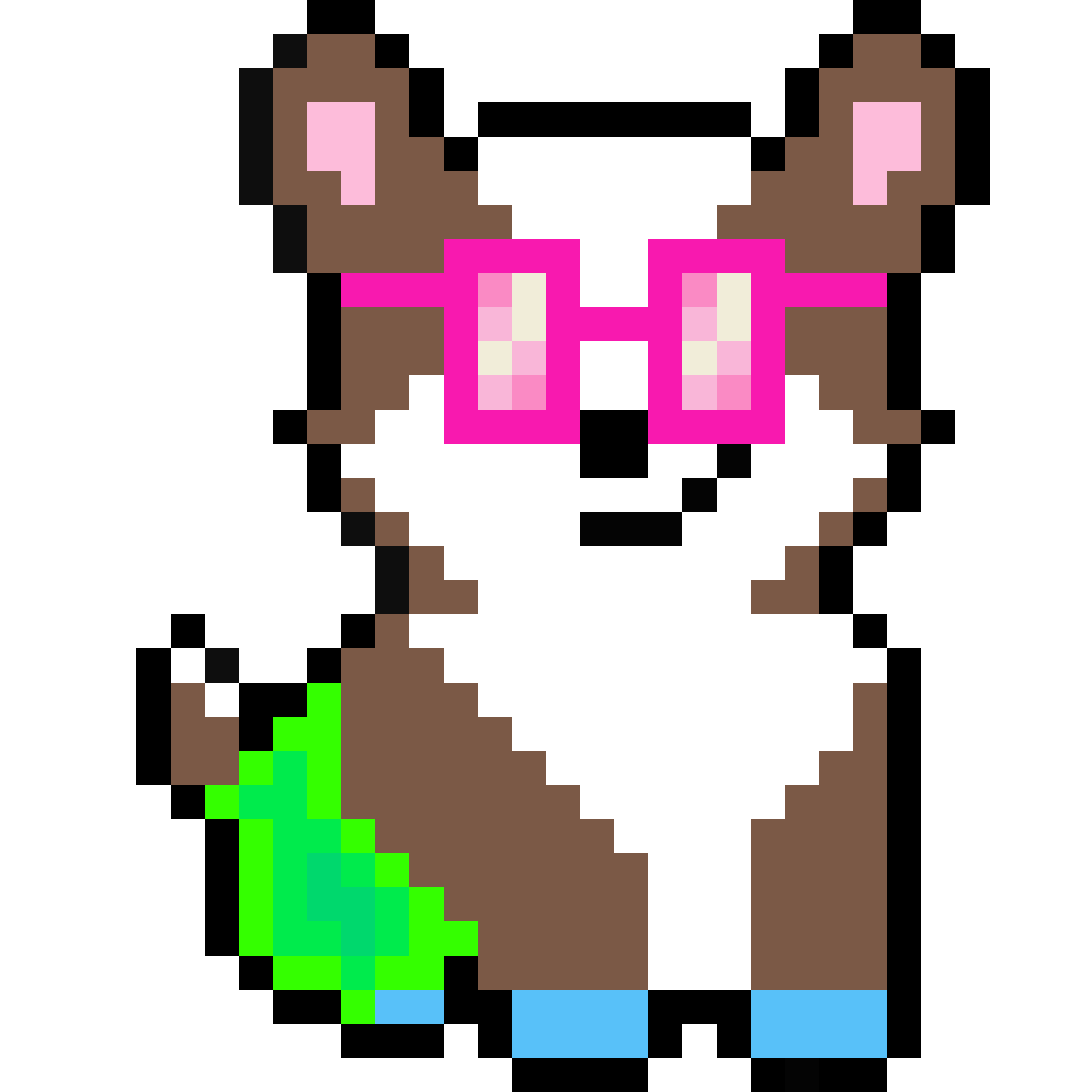 Corgi from Block #318838409