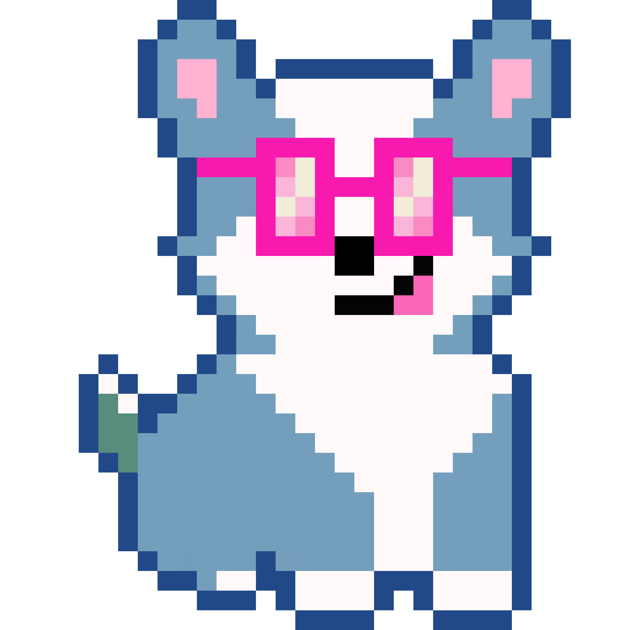 Corgi from Block #318840872