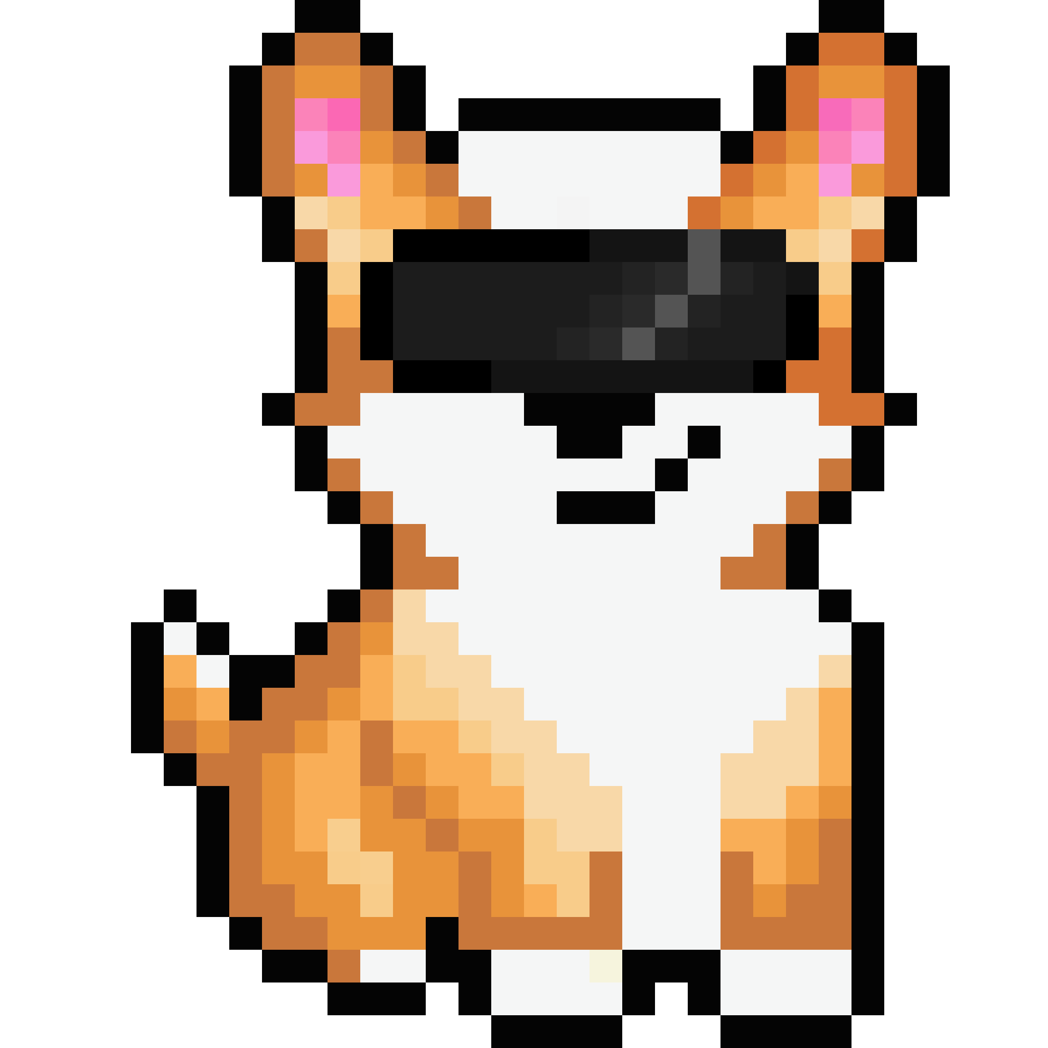 Corgi from Block #318845459