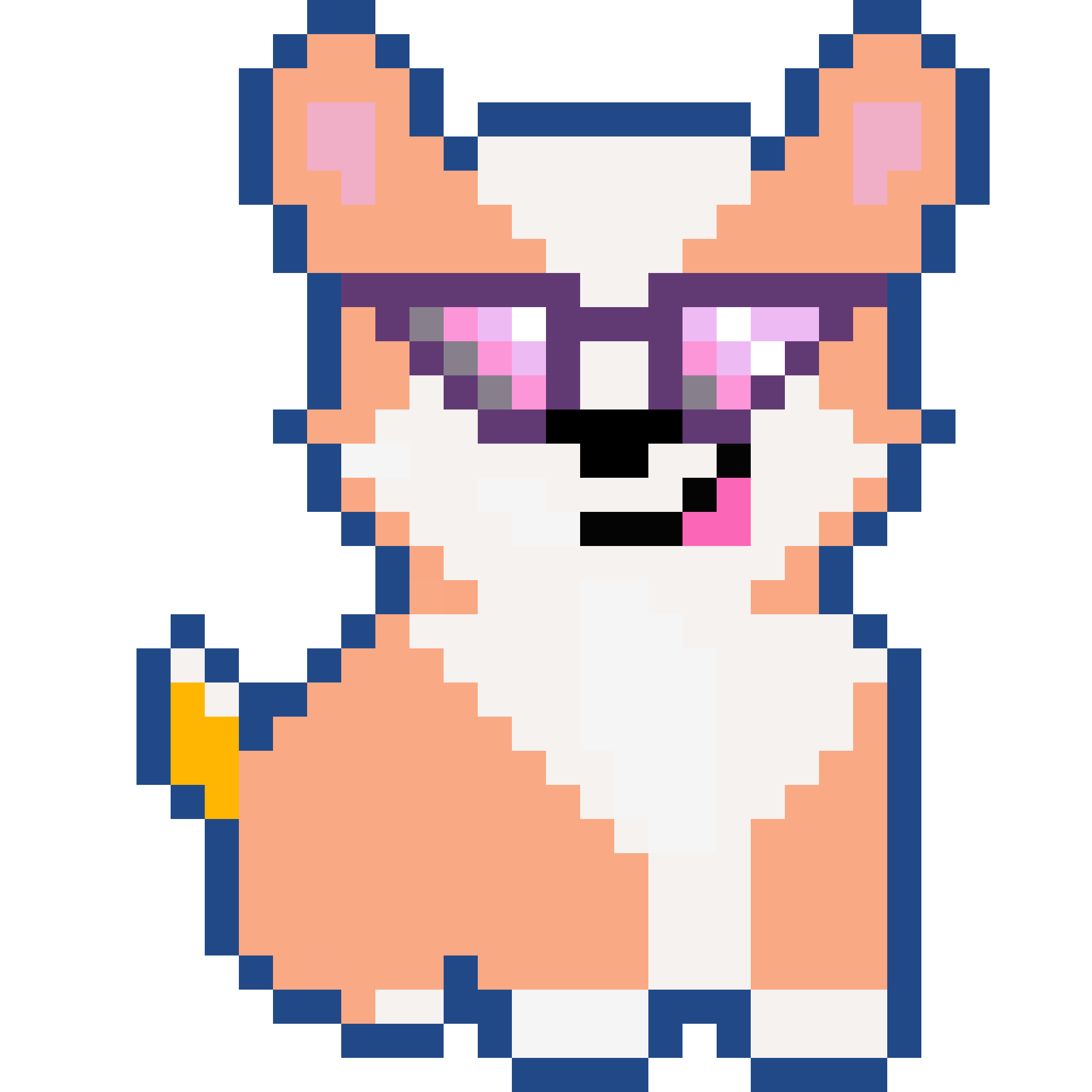 Corgi from Block #318850306
