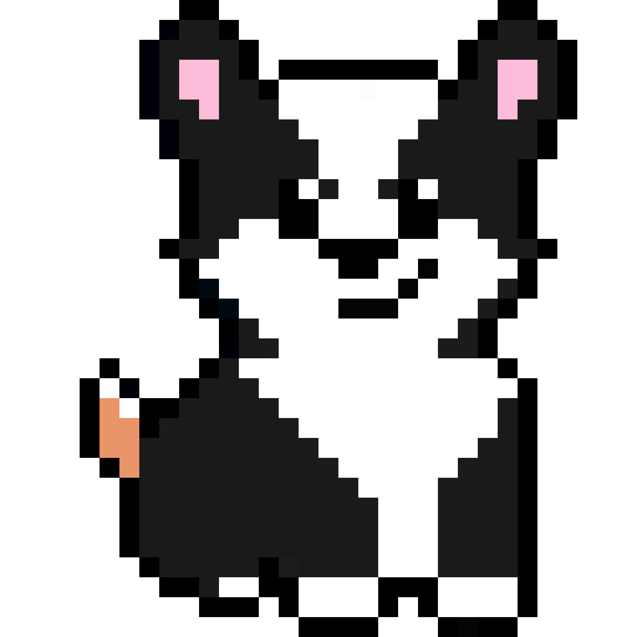 Corgi from Block #318851393