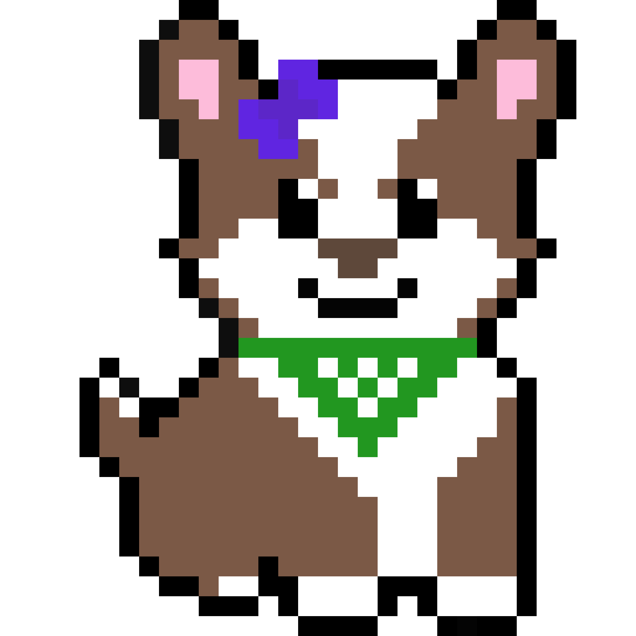 Corgi from Block #318855552