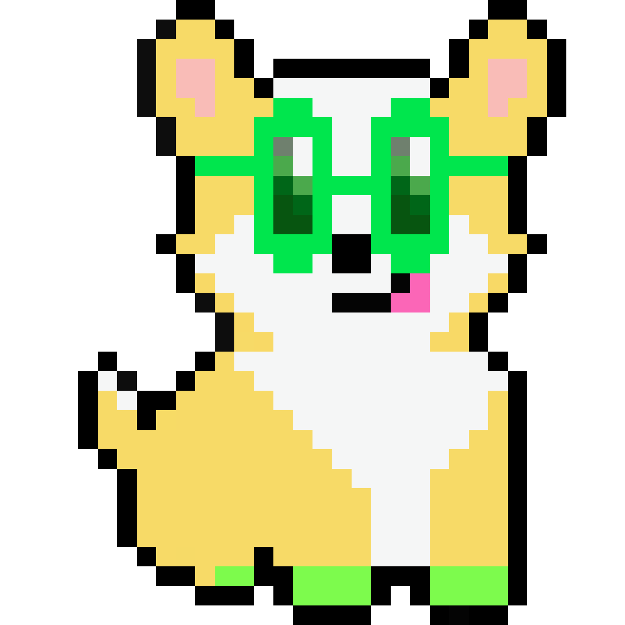 Corgi from Block #318865746